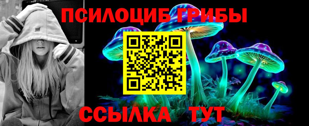 Тайшет  Галлюциногенные грибы GOLDEN TEACHER  Вход с VPN 